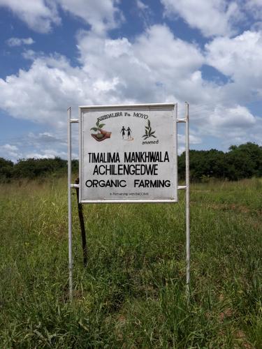 Das Hinweisschild auf die Farm an der vorbeiführenden Hauptstrasse M1. Die Schrift in Chichewa heißt übersetzt: In ein selbsttragendes Leben.  Wir bauen natürliche Arzneimittel an.